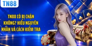 TN88 Có Bị Chặn Không? Hiểu Nguyên Nhân Và Cách Kiểm Tra